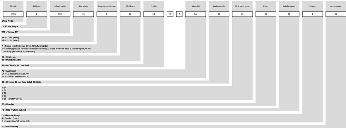 Bestellschluessel_EXAG-A-SIL2_DE