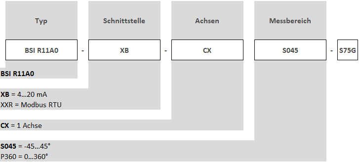 BSI-R11A0_DE